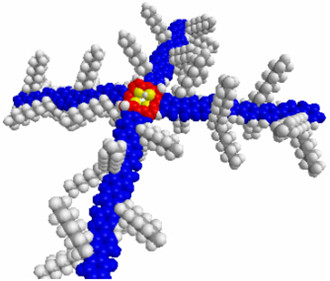 高分子