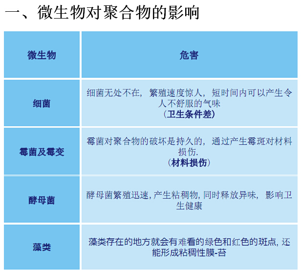 微生物對聚合物的影響